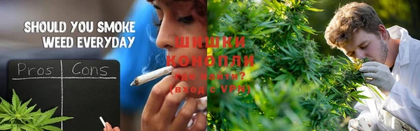 ГАЛЛЮЦИНОГЕННЫЕ ГРИБЫ Медногорск