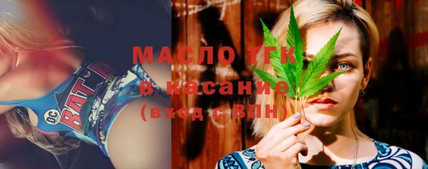 винт Лагань