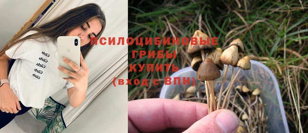 2c-b Бронницы