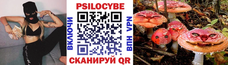 Псилоцибиновые грибы мицелий  цены   mega вход  Советск 